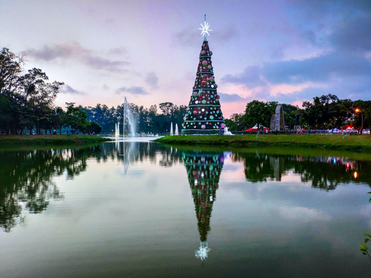 The Rise of Giant Artificial Christmas Trees: Luxury and Grandeur for the Festive Season