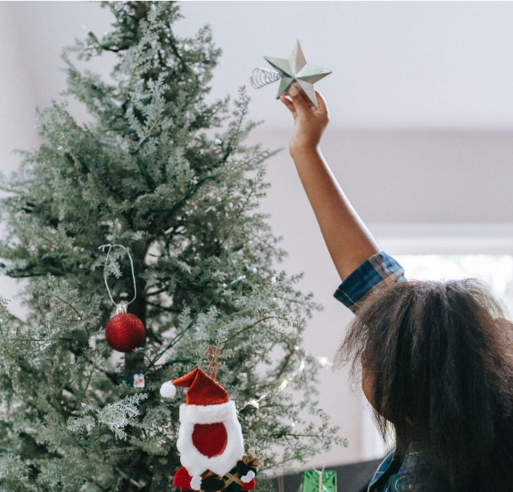 Winter Wonderland with Artificial Christmas Trees